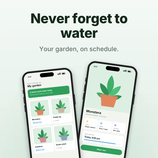 Promo post made in LaunchHerald