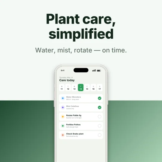 Promo post made in LaunchHerald